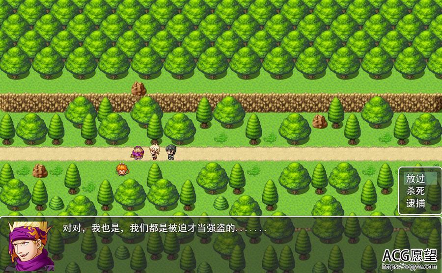【RPG】圣骑士之莉雅丝~官方中文安卓移植作弊版 【RPG】圣骑士之莉雅丝~官方中文安卓移植作弊版