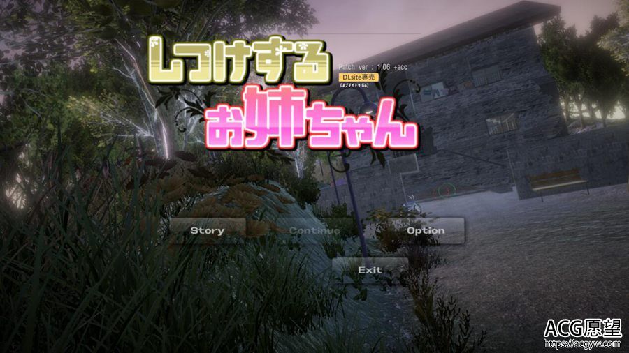 【SLG】姐姐的训练.V1.06DL官方中文制品版 【SLG】姐姐的训练.V1.06DL官方中文制品版