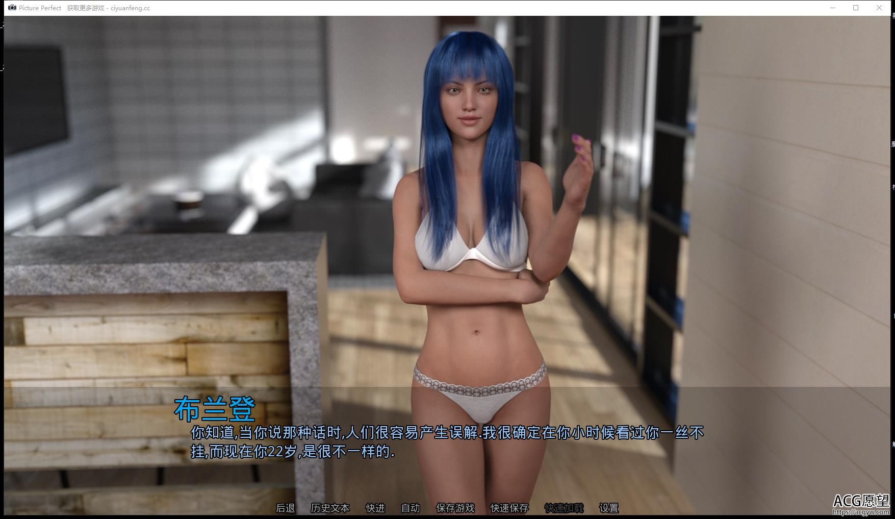 完美照片 Picture Perfect V0.11 PC+安卓汉化版【3.5G/欧美SLG/汉化】