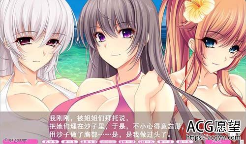 【SLG】夏汁100％【6.50G】【百度云下载】