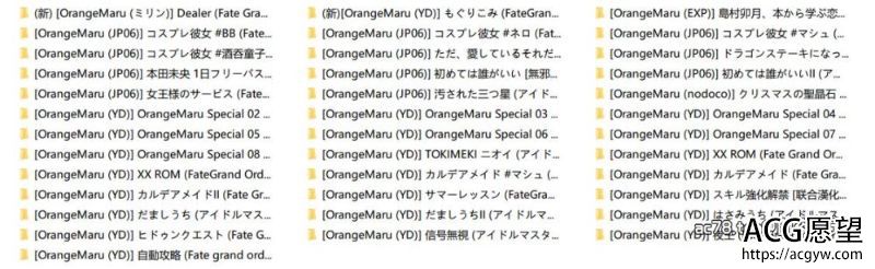 【2D全彩】FGO吾王&强骑“OrangeMaru”x37本合集